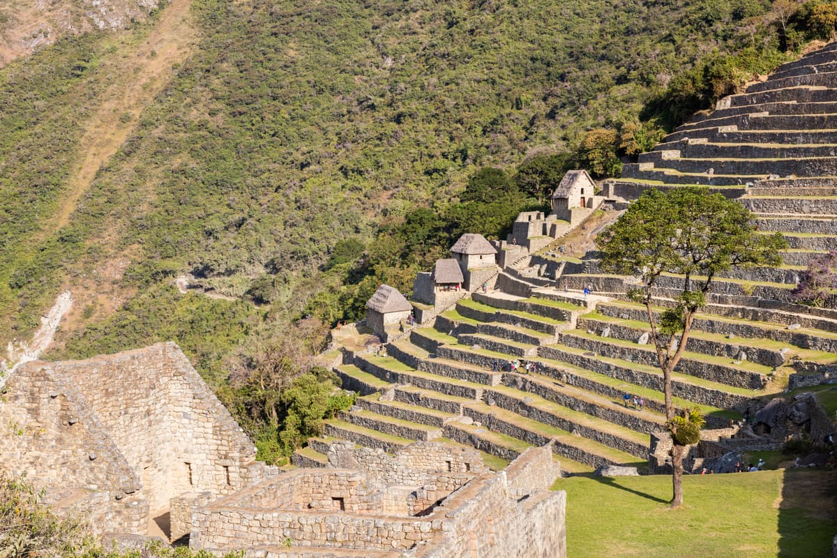 Terrassen und Gebäude in Machu Picchu